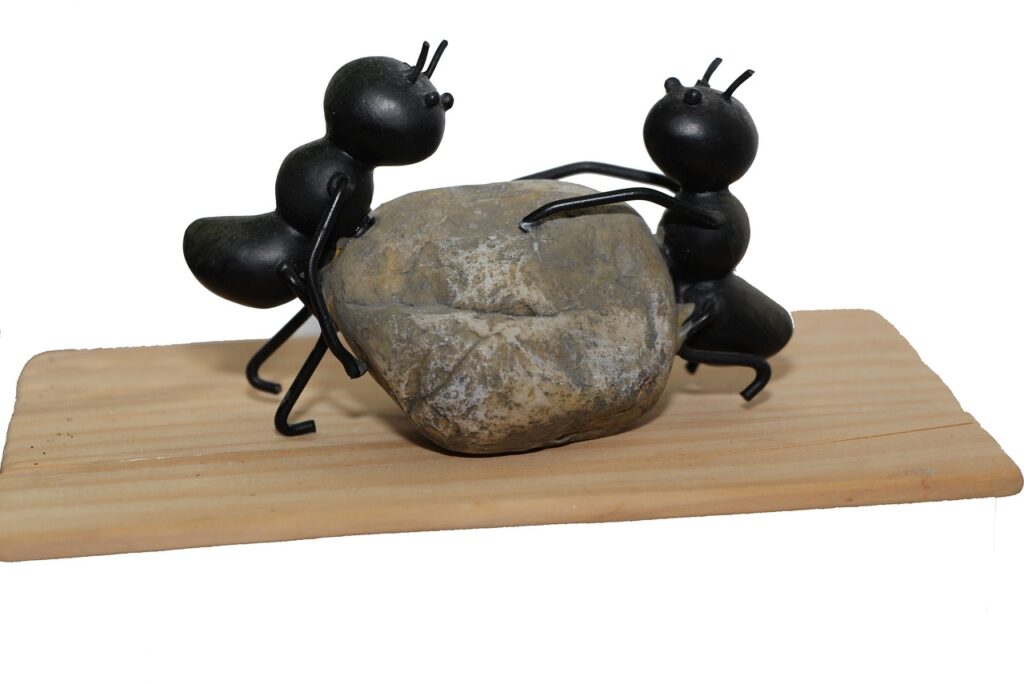 ants 1169349 1280